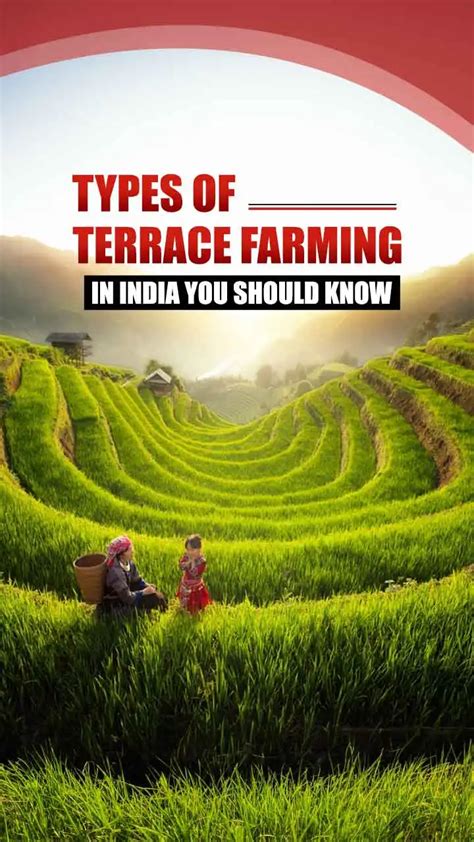 Top 6 Different Types Of Terrace Farming In India