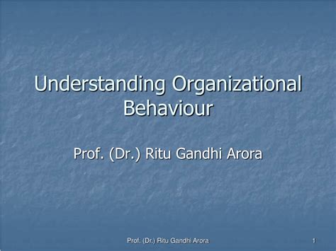 PPT Understanding Organizational Behaviour PowerPoint Presentation