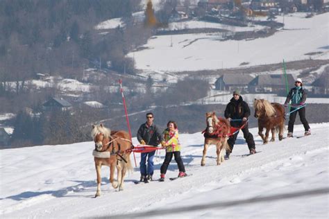 PNR du Massif des Bauges Séjours vacances équestres en Familles sur