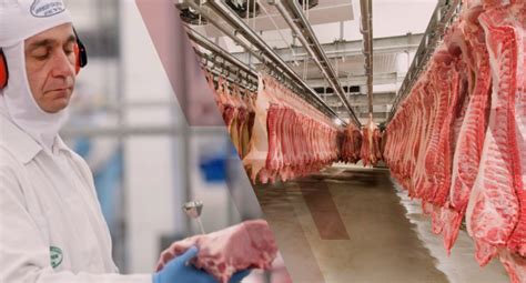 Exporta Es De Carne Su Na Crescem No Primeiro Semestre E Pre O Do