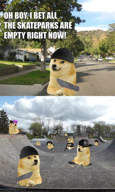 le my local skatepark has arrived | /r/dogelore | Ironic Doge Memes ...