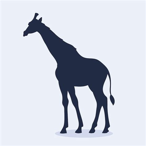 Burro Silhouette Vectors And Illustrations For Free Download Freepik