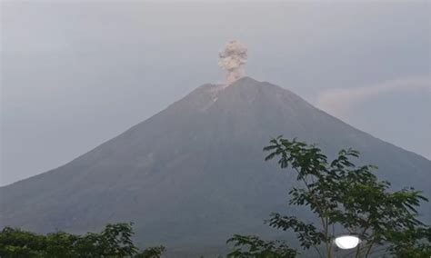 Gunung Semeru Erupsi Kali Pagi Ini Lontarkan Abu Setinggi Meter