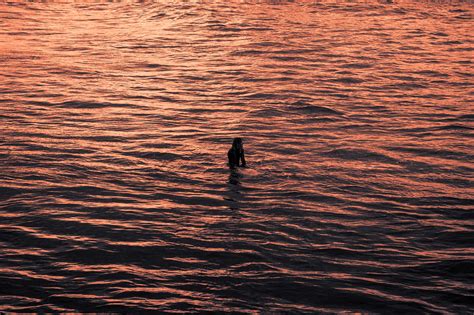 Mar Del Plata Argentina Mariano Villada Flickr