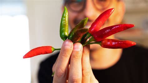 The Hot Pepper Challenge Rising Popularity Health Benefits And