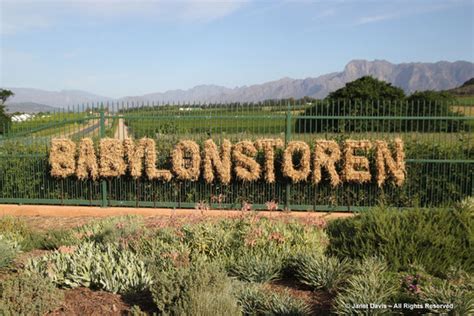 Book Your Wine Terroir Wednesday - Babylonstoren Event With SixtyFour ...