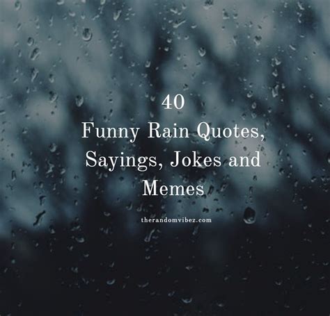 Funny Quotes About Hurricanes - ShortQuotes.cc