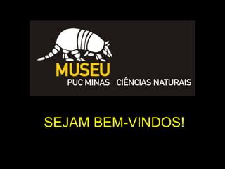 O Museu De Ci Ncias Naturais Puc Minas Apresenta O Para Professores