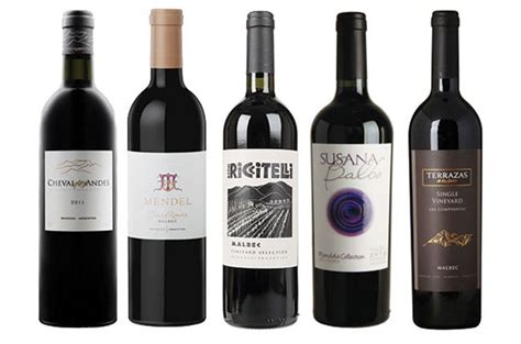 5 Argentina Malbec wines to try - Decanter