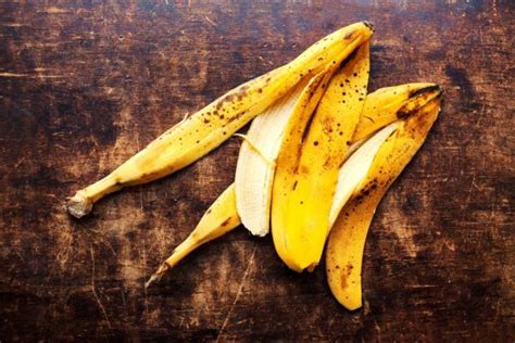 5 Receitas Casca De Banana Estilo Vegan