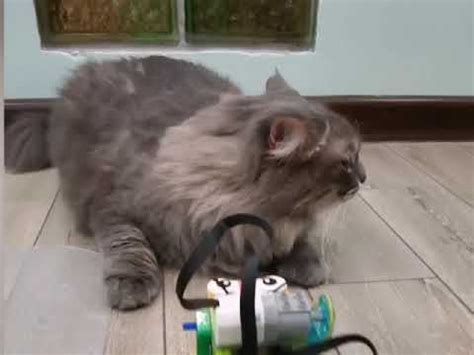 Робо- Мышь - YouTube