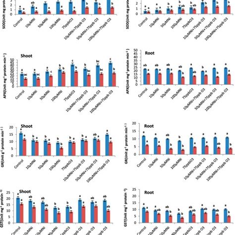 The Influence Of Different Concentrations Of Ni 2 Ozone 75 Ppb O 3