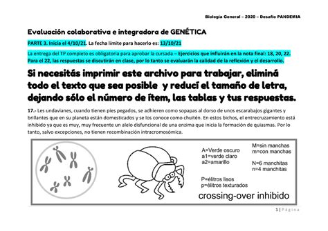 Tp Undavianes Apellido Nombre Evaluaci N Colaborativa E