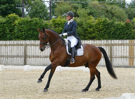 British Dressage On Twitter The Portroyaleec Will Be Holding Their