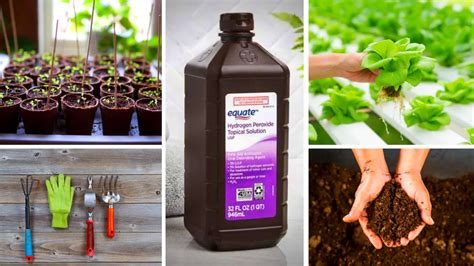 10 Surprising Uses Of Hydrogen Peroxide In Your Garden – Slick Garden