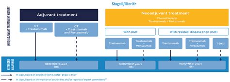 Treatment Pattern For Her2hr Early Stage Breast Cancer Nerlynx