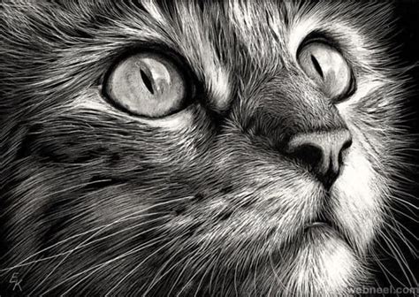 40 Great Examples of Cute and Majestic Cat Drawings - Tail and Fur