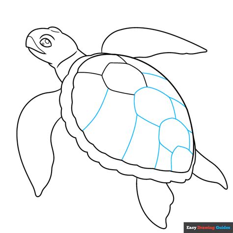 How To Draw A Realistic Sea Turtle Really Easy Drawing Tutorial