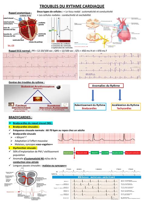 Troubles DU Rythme Cardiaque TROUBLES DU RYTHME CARDIAQUE Rappel