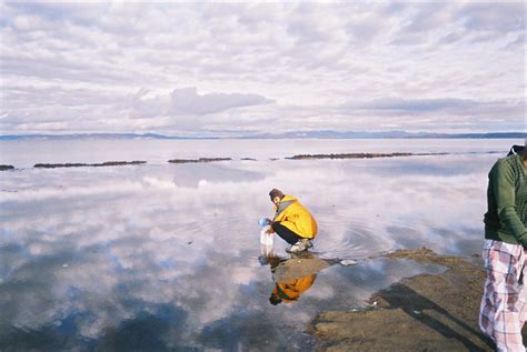 Manasarovar Water Sivasankaran Flickr