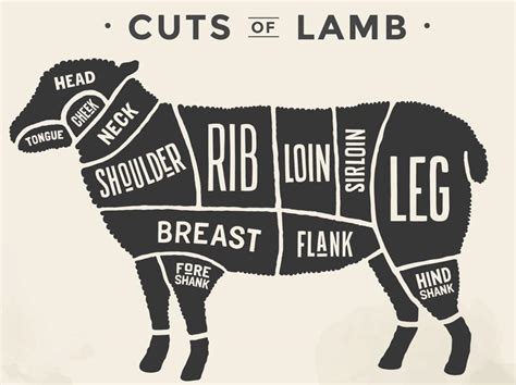 Sheep Cuts Of Meat Chart Lamb Cuts And Cooking Methods For The Love