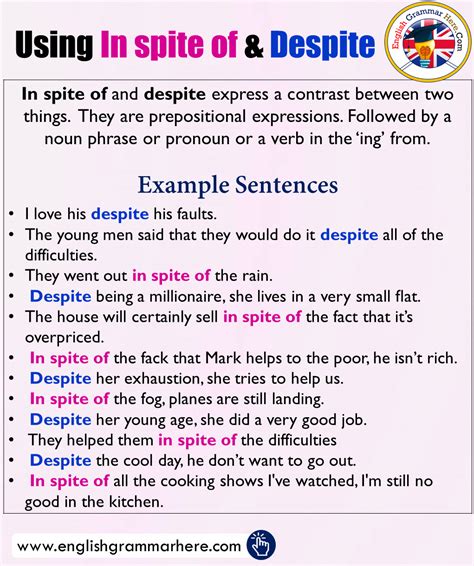 Using In Spite Of And Despite Example Sentences English Grammar Here