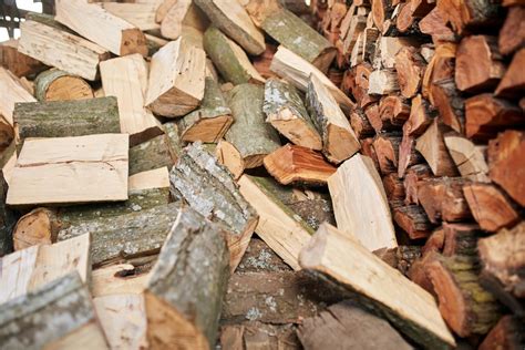 Beech Or Oak Which Logs Are Best For Burning Beech Vs Oak As Firewood