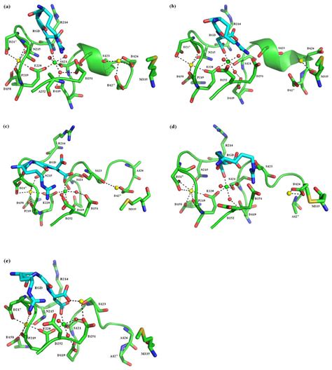 The View Of The Rgd Binding Site Final Snapshots Of The Rgd Binding Download Scientific