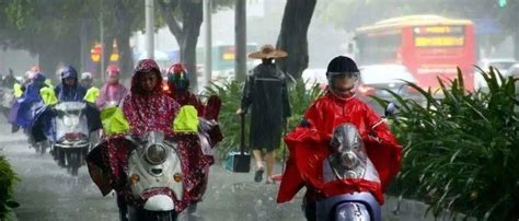 大雾 回南天 大雨即将返场！广西新一轮冷空气也要来了！ 降雨 天气 气温