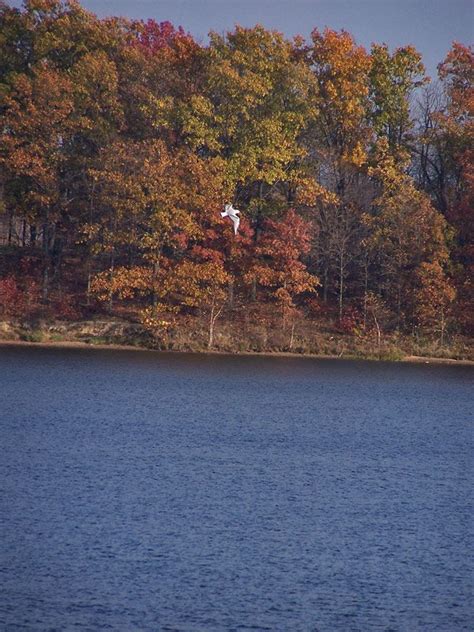 Stephen A Forbes State Park An Illinois Park Located Near Salem