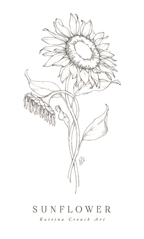 Flower Drawings Inktober 2018 Roundup — Katrina Crouch Blushed Design