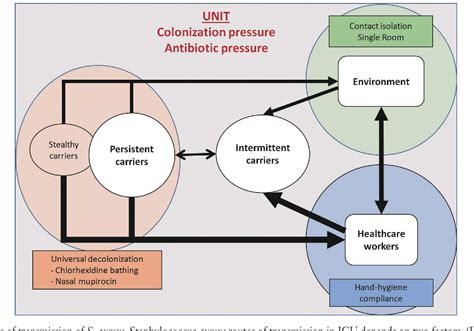 Figure From Staphylococcus Aureus Transmission In The Intensive Care