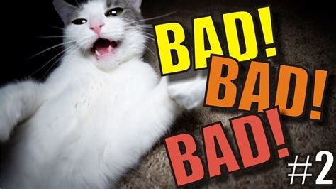 Talking Kitty Cat 66 - BAD! BAD! BAD! #2 - YouTube