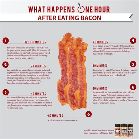 Is Bacon Better Than Sex This Graphic Says Yes Social News Daily