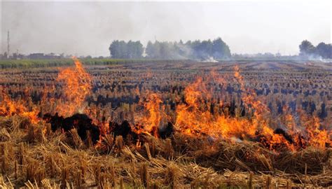 Stubble Burning And Air Pollution Punjab Experts Speak Carbon Copy