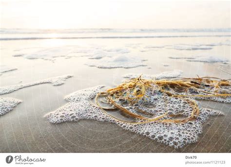 Strandgut Ein Lizenzfreies Stock Foto Von Photocase