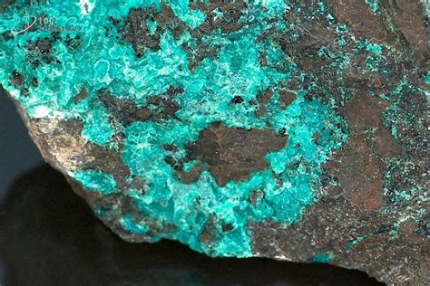 Chrysocolle Brute P Rou Min Raux Cristaux