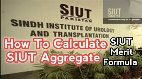 SIUT Aggregate SIUT CPN SIUT Nursing Aggregate How To Calculate SIUT