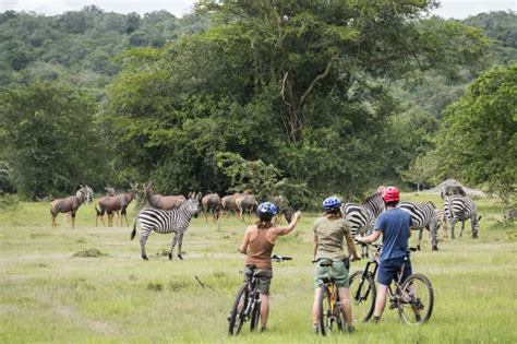 Cycling In Lake Mburo National Park Cycling Safaris In Lake Mburo