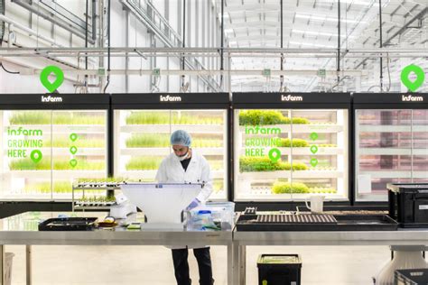 How Infarms New UK Growing Centre Contributes To Food Security And