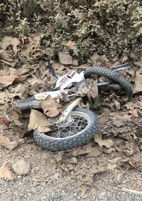 Motociclista Falleci Al Chocar Contra Rbol La Teja