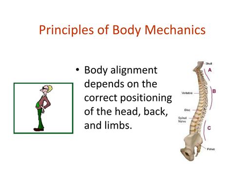 Ppt Body Mechanics Powerpoint Presentation Free Download Id2688530