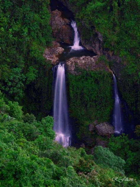 40 Best Cascadas De Puerto Rico Images On Pinterest Waterfalls