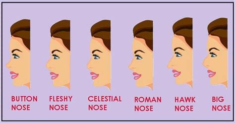 Celestial Nose Shape