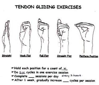 Health And Fitness: Finger & Wrist Stretch Exercise