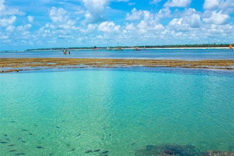 Roteiro Em Porto De Galinhas O Que Fazer Onde Comer Onde Ficar E Mais