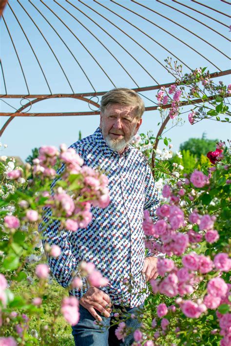 Découvrez la Beauté des Rosiers Le Petit Journal