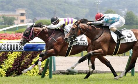 【福島5r・2歳新馬】グレーターロンドン産駒のニシノルプが逃げ切り 津村明秀騎手「長く脚を使う」 競馬ニュース Netkeiba