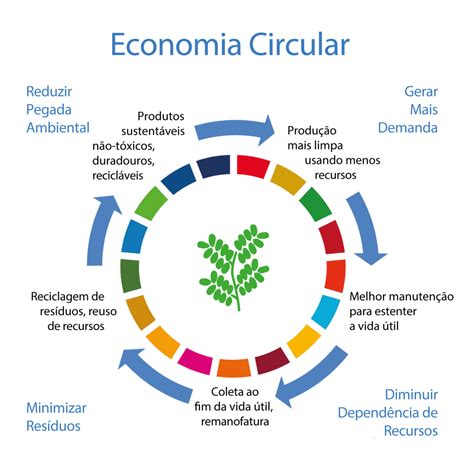 O que é Economia Circular Fatos Curiosos