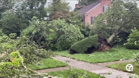 Storm Brings Down Trees And Power Lines In Ann Arbor Causing Damage